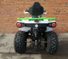  MOWGLI ATV 200 NEW LUX  -   