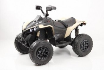 ������� ����������������� BRP Can-Am Renegade (Y333YY) swat  - ������� ��� �����