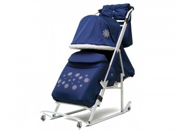 Санки-коляска детские "Арктика М" синий цвет рамы белый - Подарки для детей